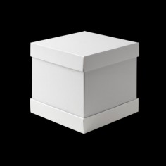 Scatola porta torta cake...